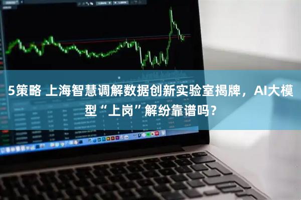 5策略 上海智慧调解数据创新实验室揭牌，AI大模型“上岗”解纷靠谱吗？