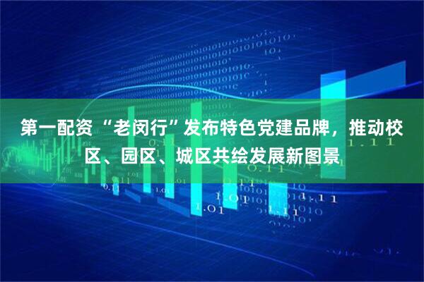 第一配资 “老闵行”发布特色党建品牌，推动校区、园区、城区共绘发展新图景